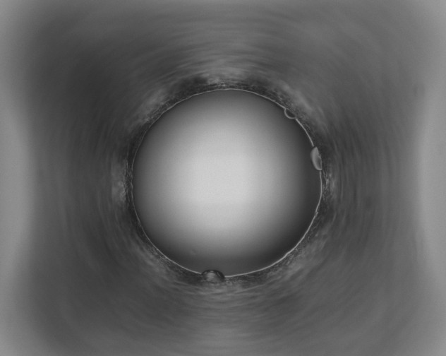 X0000113031012200909031247