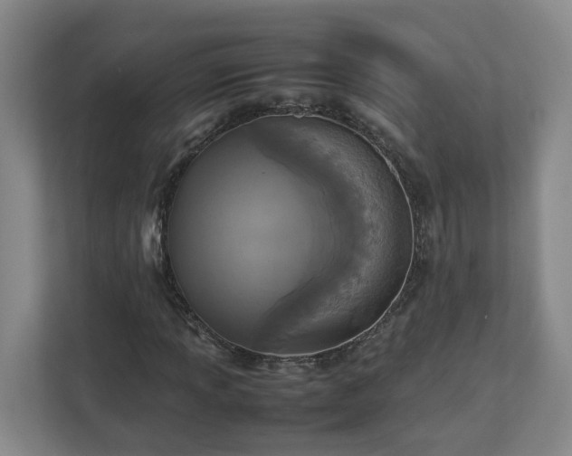 X0000113031013200909031247