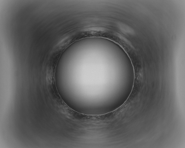 X0000113031014200909031247