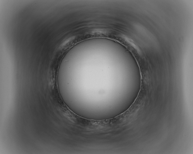 X0000113031015200909031247