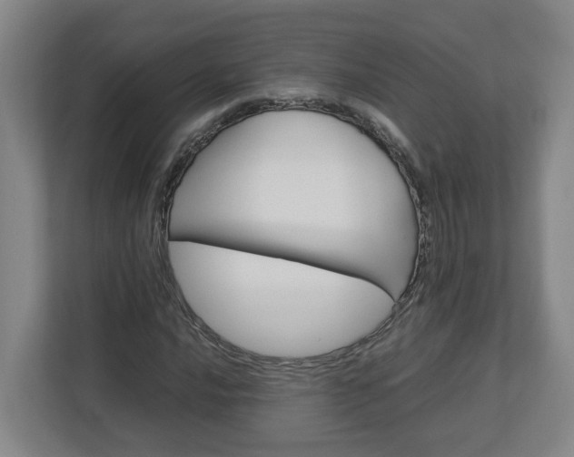 X0000113031016200909031247