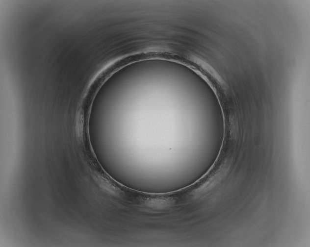 X0000113031021200909031247