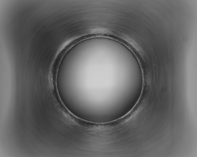 X0000113031022200909031247