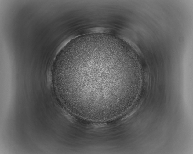 X0000113031023200909031247