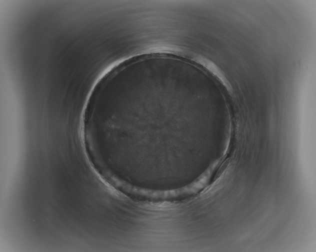 X0000113031024200909031247