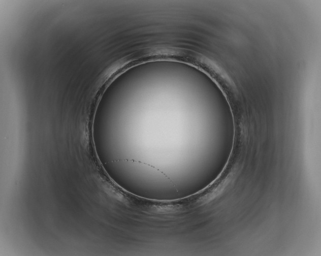 X0000113031025200909031247