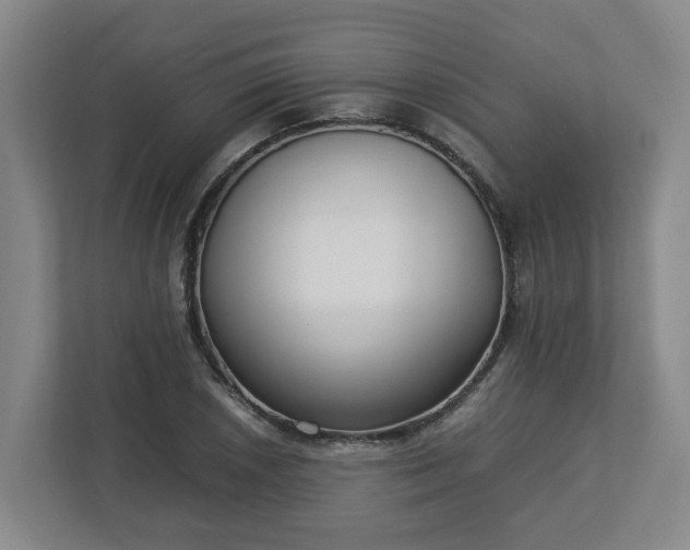 X0000113031026200909031247