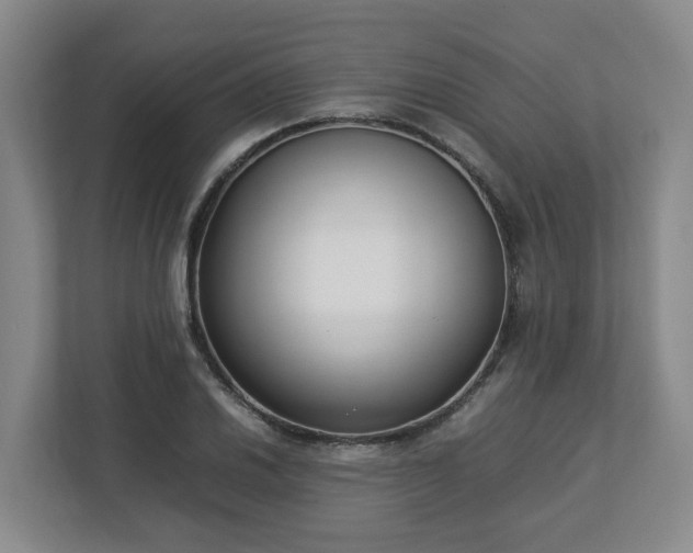 X0000113031030200909031247