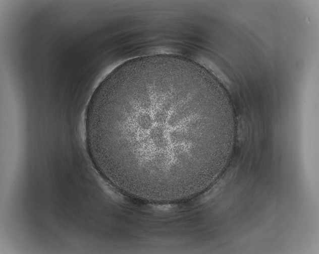 X0000113031031200909031247