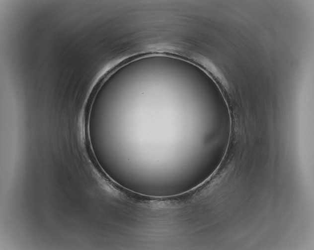 X0000113031032200909031247