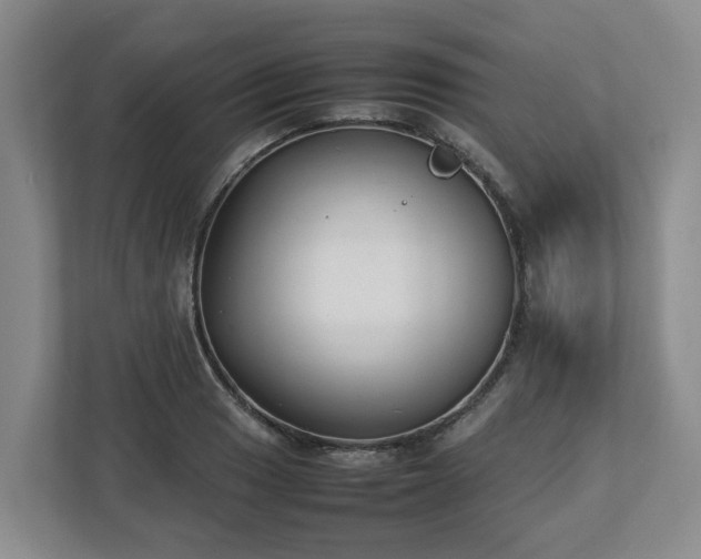 X0000113031033200909031247