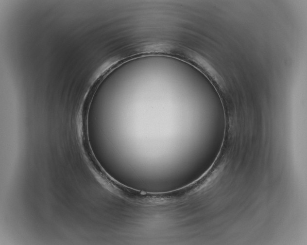 X0000113031034200909031247