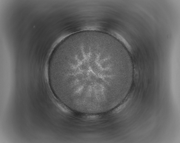 X0000113031035200909031247