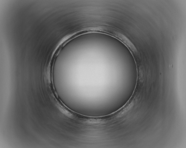 X0000113031036200909031247