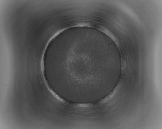 X0000113031037200909031247