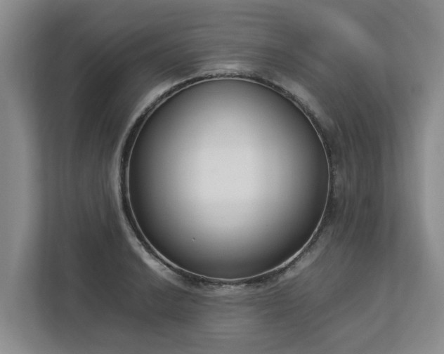 X0000113031038200909031247