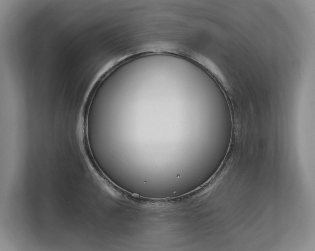 X0000113031040200909031247