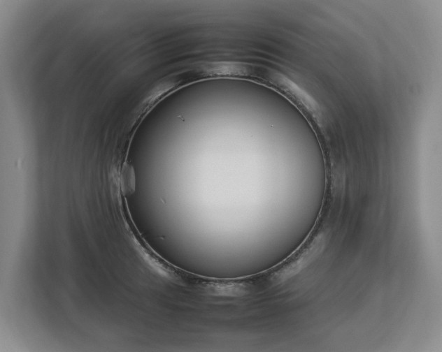 X0000113031041200909031247