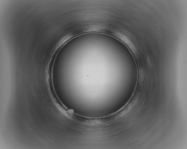 X0000113031042200909031247