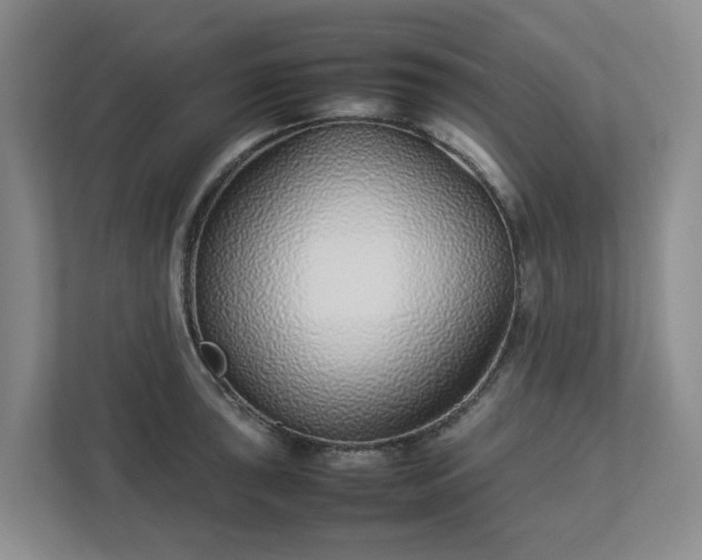 X0000113031043200909031247