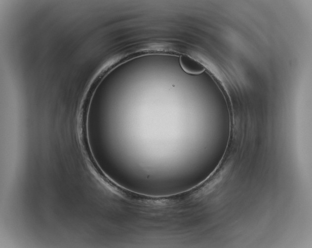 X0000113031045200909031248