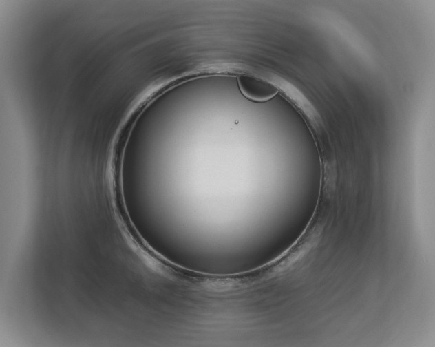 X0000113031046200909031248