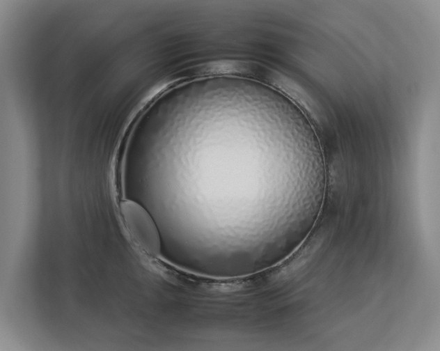 X0000113031047200909031248