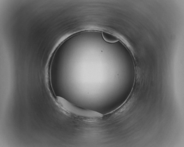 X0000113031048200909031248