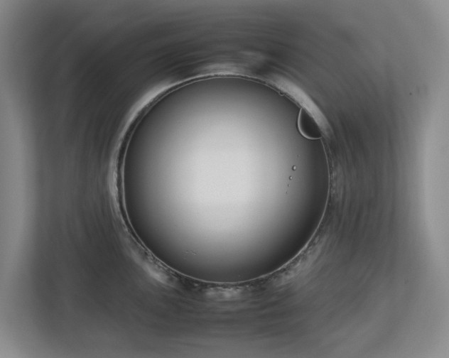 X0000113031051200909031248