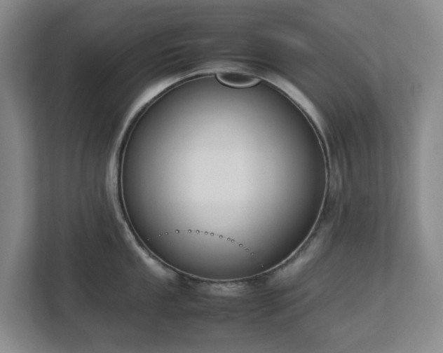 X0000113031053200909031248