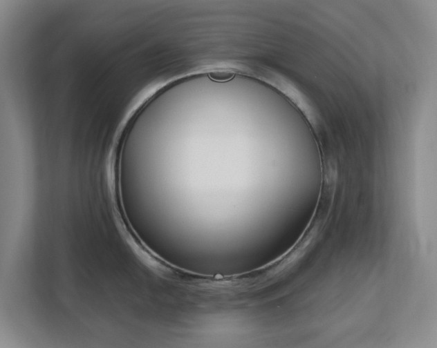 X0000113031054200909031248