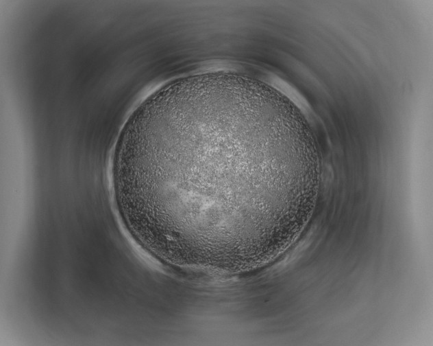 X0000113031055200909031248