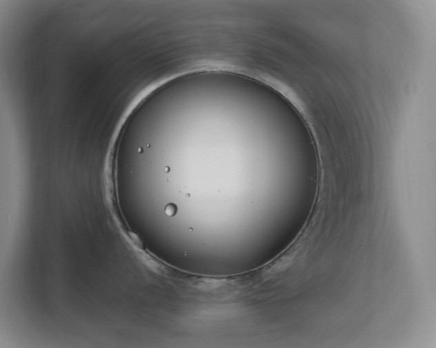 X0000113031056200909031248