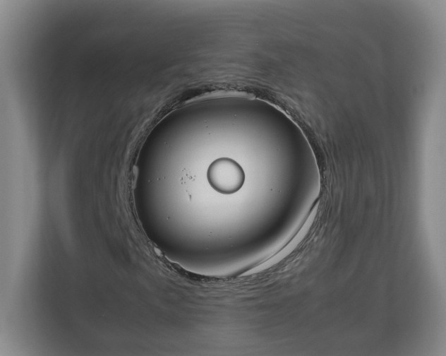 X0000113031057200909031247