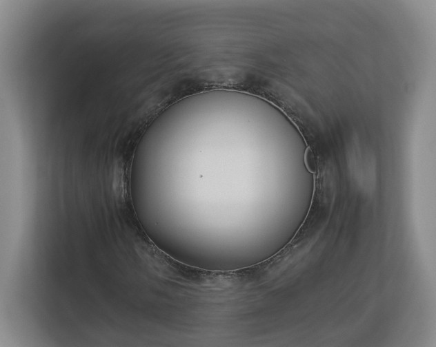 X0000113031058200909031247