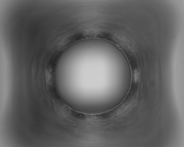 X0000113031059200909031247