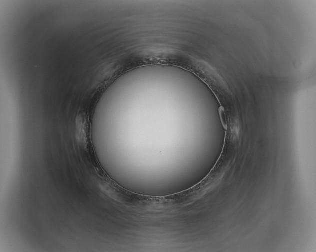 X0000113031060200909031247