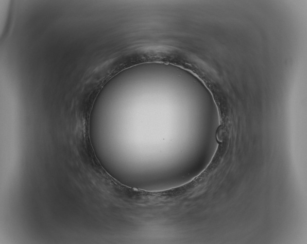 X0000113031061200909031247