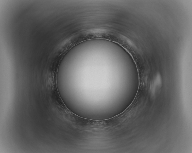 X0000113031062200909031247