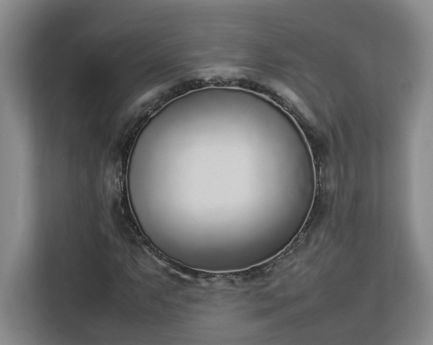 X0000113031063200909031247