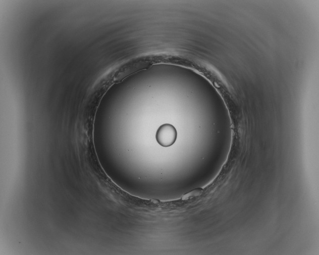 X0000113031064200909031247