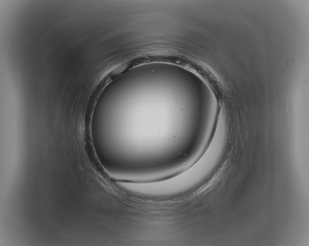 X0000113031065200909031247