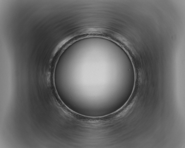 X0000113031066200909031247