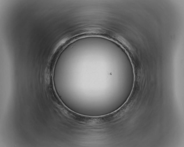 X0000113031067200909031247