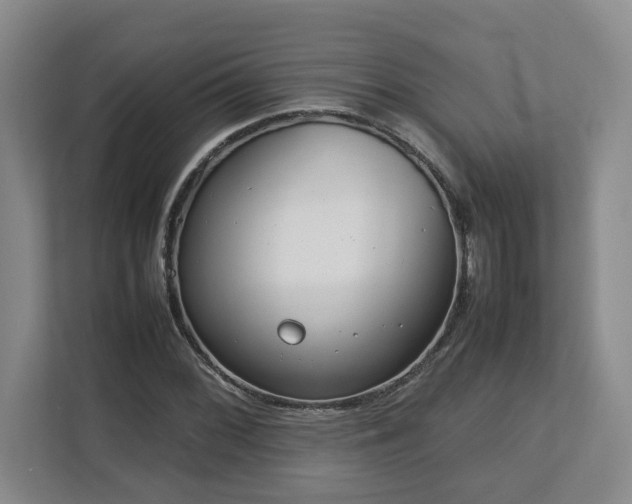 X0000113031068200909031247