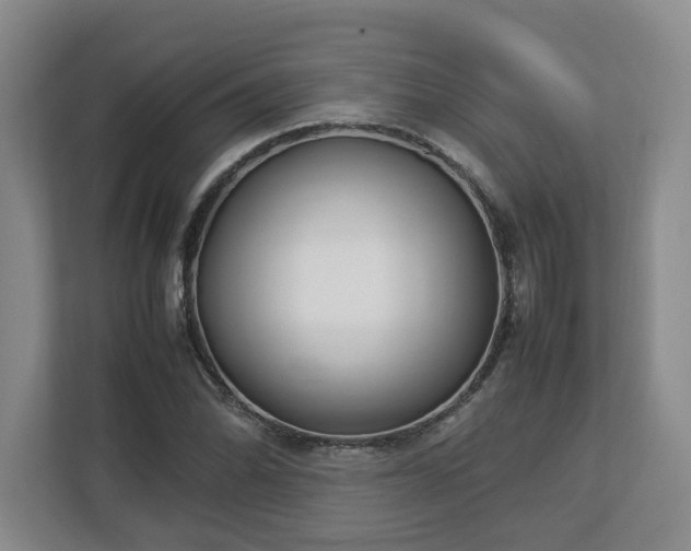 X0000113031070200909031247