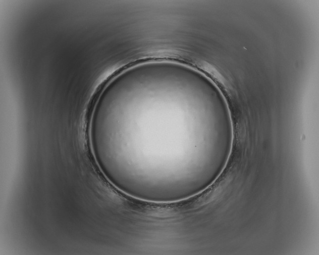 X0000113031071200909031247