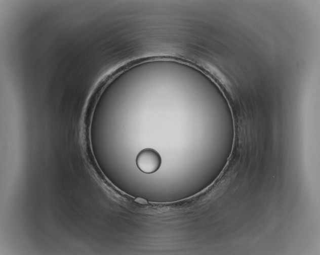 X0000113031072200909031247