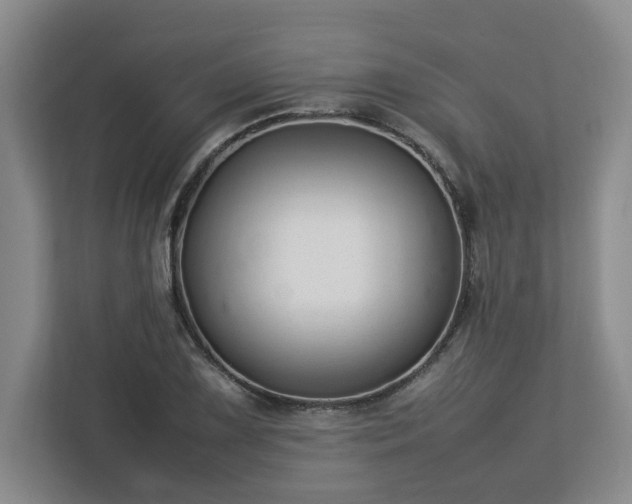 X0000113031075200909031247