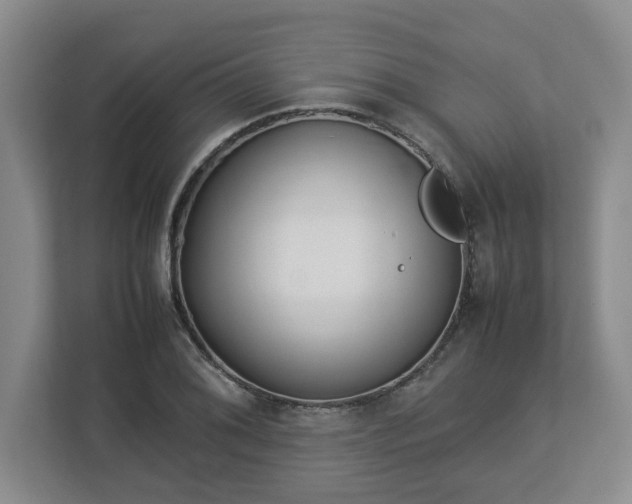 X0000113031076200909031247